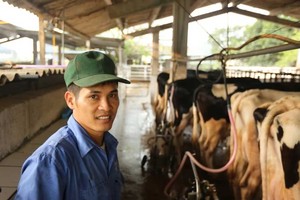 Nhờ bò sữa mà các hộ dân nơi đây đổi đời, trở thành tỷ phú với thu nhập trung bình mỗi hộ 35-40 triệu đồng/tháng