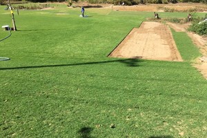 Trồng cỏ cho nhà giàu kiếm mỗi năm 500 triệu đồng