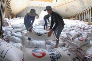 Vinafood 2 được biết tới là "ông lớn" trong ngành lương thực gặp nhiều bê bối, thua lỗ trong thời gian qua.