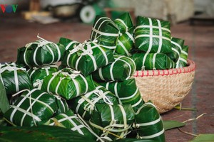 Làm bánh chưng ở Làng Bạc