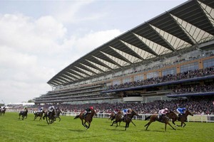 Người muốn tham gia chơi đặt cược đua ngựa phải đủ 21 tuổi.