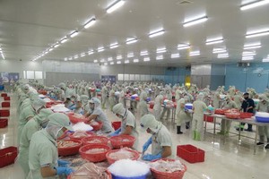 HVG bị đưa vào diện cảnh bảo từ ngày 15/2