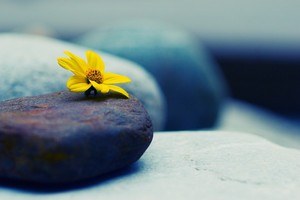 Sự kiện chứng khoán đáng chú ý ngày 11/2