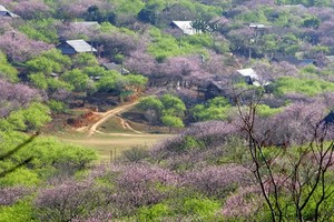 10 điểm 'gây thương nhớ' ở Mộc Châu