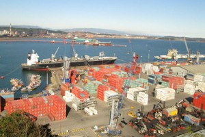 Chính phủ yêu cầu thanh tra toàn diện việc cổ phần hóa cảng Quy Nhơn.