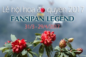 Fansipan Legend chuẩn bị khai mạc Lễ hội hoa đỗ quyên 2017