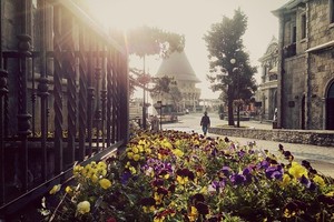 Sắc hoa rực rỡ tại Bà Nà Hills