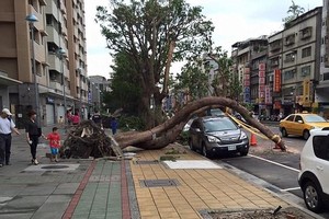 Những vụ thoát chết ngoạn mục