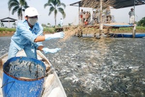 Quý II niên độ tài chính 2017, HVG lỗ gần 29,5 tỷ đồng