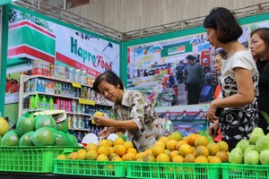 Công ty cổ phần được chuyển đổi từ Công ty mẹ - Hapro sẽ phải kế thừa quyền lợi và nghĩa vụ tại các công ty cổ phần, công ty TNHH - bao gồm cả 41 khoản đầu tư tài chính.