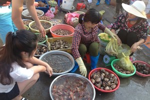 Chợ hải sản - Nét độc đáo của huyện đảo Cô Tô