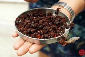 Đặc sản 'từ trên trời rơi xuống'