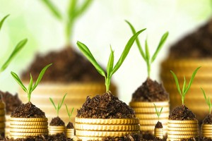 7 quy tắc 'vàng' đầu tư đất nền an toàn