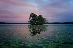 Nguồn: iPhone Photography Awards