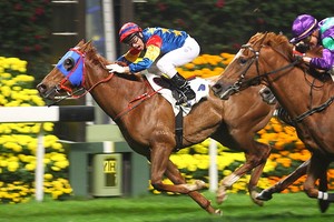 Cần Thơ cho nghiên cứu xây trường đua ngựa 500 triệu USD