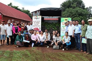 Vinacafé Biên Hòa tổ chức tập huấn thực hiện mô hình sản xuất cà phê và thực hiện tái canh cây cà phê