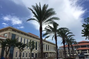 Hình ảnh nhà Hội nghị Gala Dinner APEC 2017 (bên trái) & Khu vực Lễ tân (Thẳng).