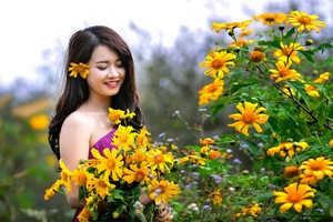 Ba điểm 'săn' hoa dã quỳ hot nhất mùa thu năm nay