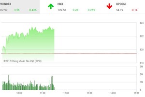 Phiên sáng 17/10: HAI hết sóng, VN-Index lấy lại đà tăng