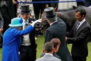 Nữ hoàng Anh vỗ về chú ngựa đua Dartmouth. Ảnh: YouTube.