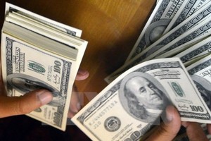 Ảnh minh họa. (Nguồn: AFP/TTXVN).