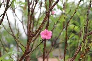 Sự kiện chứng khoán đáng chú ý ngày 30/1