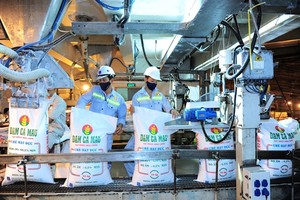 Lợi nhuận giảm mạnh quý IV, Đạm Cà Mau vẫn vượt chỉ tiêu cả năm 2017