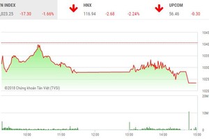 Phiên chiều 8/2: Bị HOSE nhắc nhở, cổ phiếu của bầu Đức bị bán tháo