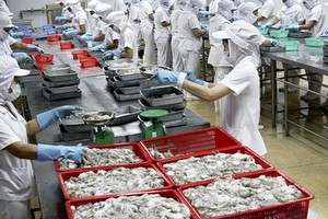 Thủy sản số 4 (TS4) bị phạt truy thu thuế hơn 15 tỷ đồng