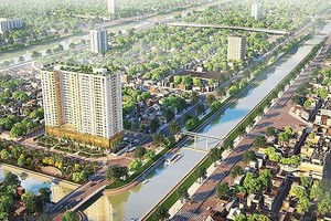 DRH: Tổ chức liên quan đến Phó chủ tịch đăng ký mua 5 triệu cổ phiếu