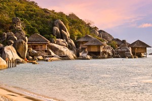 “Long đong” trên sàn niêm yết (Kỳ II): NVT “chìm vào hố sâu” vì gánh nặng tài chính