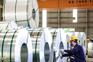 HSG: Công ty của vợ Chủ tịch đã bán xong 19,12 triệu cổ phiếu