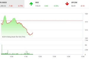 Phiên sáng 15/6: Nhiều cổ phiếu nhỏ nổi sóng, VN-Index vẫn tiếp tục giảm sâu