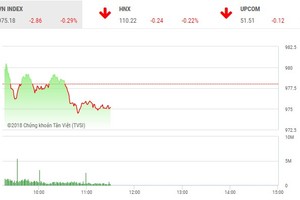 Phiên sáng 14/8: Thiếu sự đồng thuận, VN-Index yếu đà