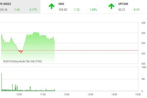 Phiên sáng 22/11: Nhà đầu tư dè dặt, VN-Index nhích nhẹ