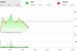 Phiên sáng 20/12: Dòng tiền dè dặt, thị trường chưa thể trở lại