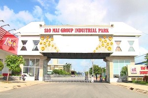 Tập đoàn Sao Mai (ASM): Năm 2021 sẽ trả cổ tức 10 - 20%, phát hành thêm 129,4 triệu cổ phiếu