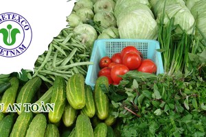 Vi phạm hàng loạt lỗi, Tổng công ty Rau quả Nông sản (Vegetexco) bị phạt hơn nửa tỷ đồng