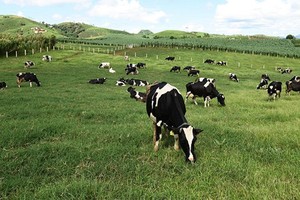 Vinamilk đã mua được hơn 90 triệu cổ phiếu GTN