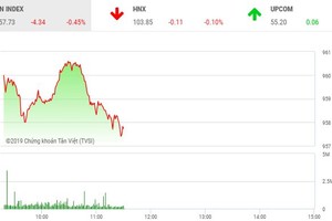 Phiên sáng 12/6: Nhà đầu tư cầm tiền đứng nhìn, VN-Index chìm trong sắc đỏ