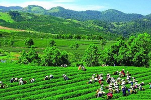 GTNFoods (GTN) biến động nhân sự trước ngày Đại hội đồng cổ đông