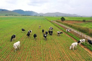 Invest Tây Đại Dương muốn bán hơn 41 triệu cổ phiếu GTNfoods (GTN)