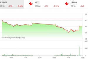 Phiên chiều 10/12: Rơi điểm vì một nguyên nhân nào đó... chưa bộc lộ