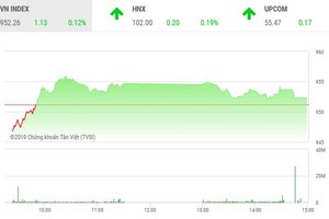 Phiên chiều 19/12: Bluechip hụt hơi, penny bị bán tháo