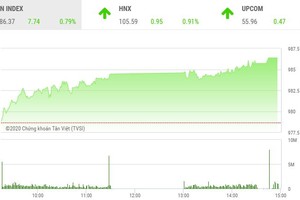 Phiên chiều 21/1: Thị trường khởi sắc, VN-Index tăng lên trên 985 điểm