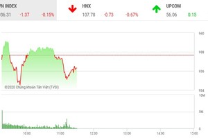 Phiên sáng 13/2: Dòng tiền hướng đến nhóm cổ phiếu nhỏ, VN-Index điều chỉnh