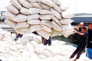 Hàn Quốc chuẩn bị đấu thầu nhập khẩu gạo, cơ hội cho nhiều doanh nghiệp xuất khẩu của Việt Nam