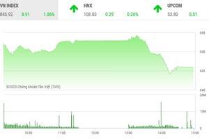 Giao dịch chứng khoán chiều 19/5: VN-Index hạ nhiệt, thanh khoản tăng vọt