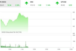 Giao dịch chứng khoán sáng 16/6: Bật tăng mạnh sau phiên bán tháo