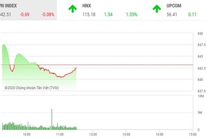 Giao dịch chứng khoán sáng 11/8: VN-Index giằng co, sàn HNX khởi sắc
